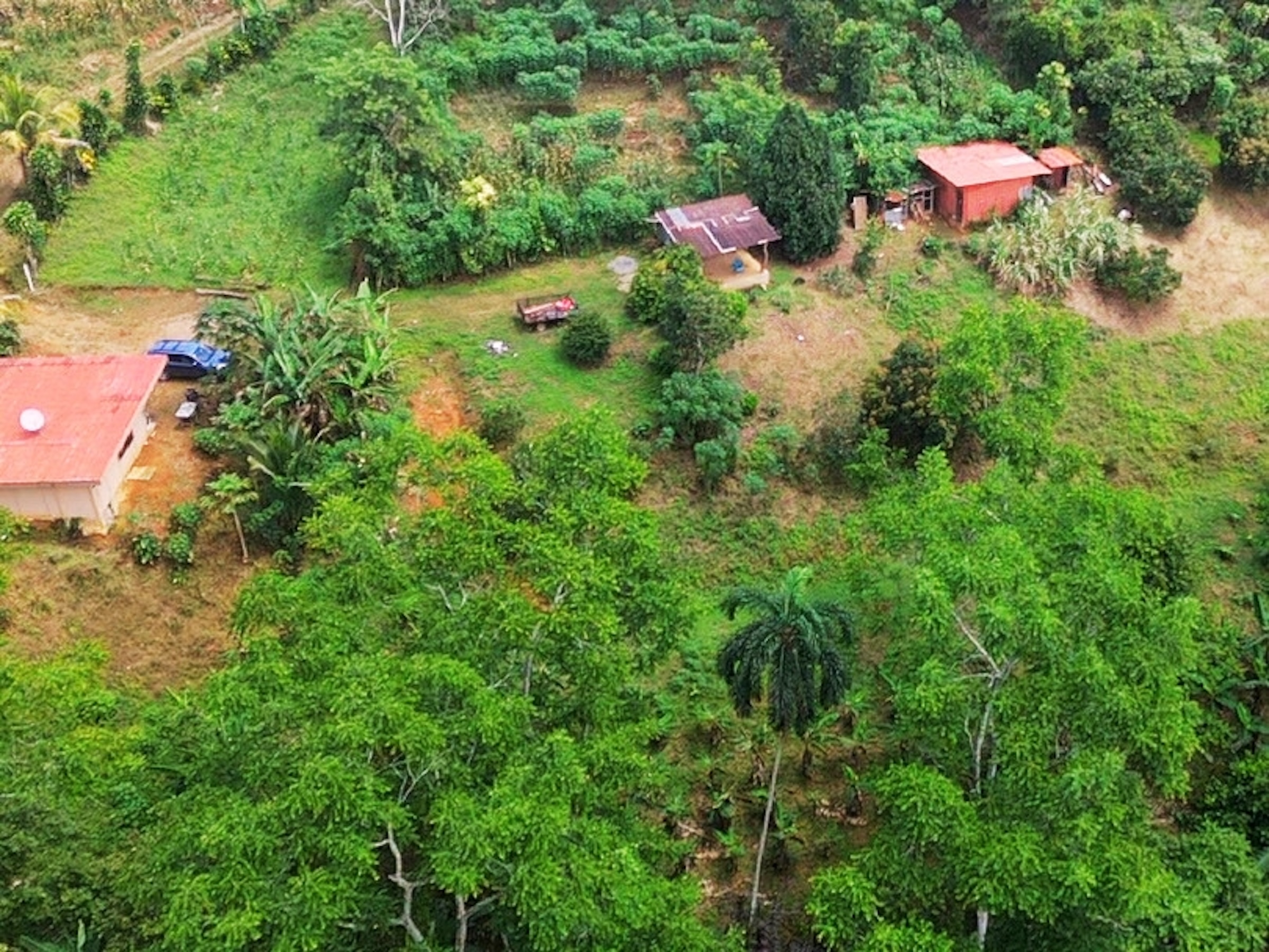 2.47-ACRE MOUNTAIN PROPERTY WITH AGRICULTURAL PRODUCTION, IN PÉREZ ZELEDÓN