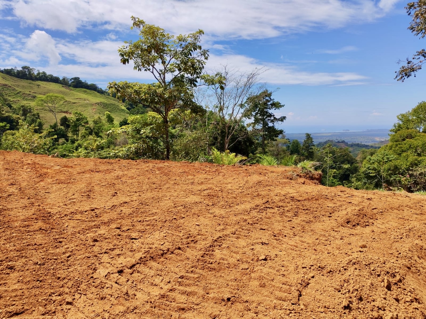 10-HECTARE PROPERTY IN THE MOUNTAINS OF SAN CRISTÓBAL DE AGUIRRE, NEAR TO SILENCIO