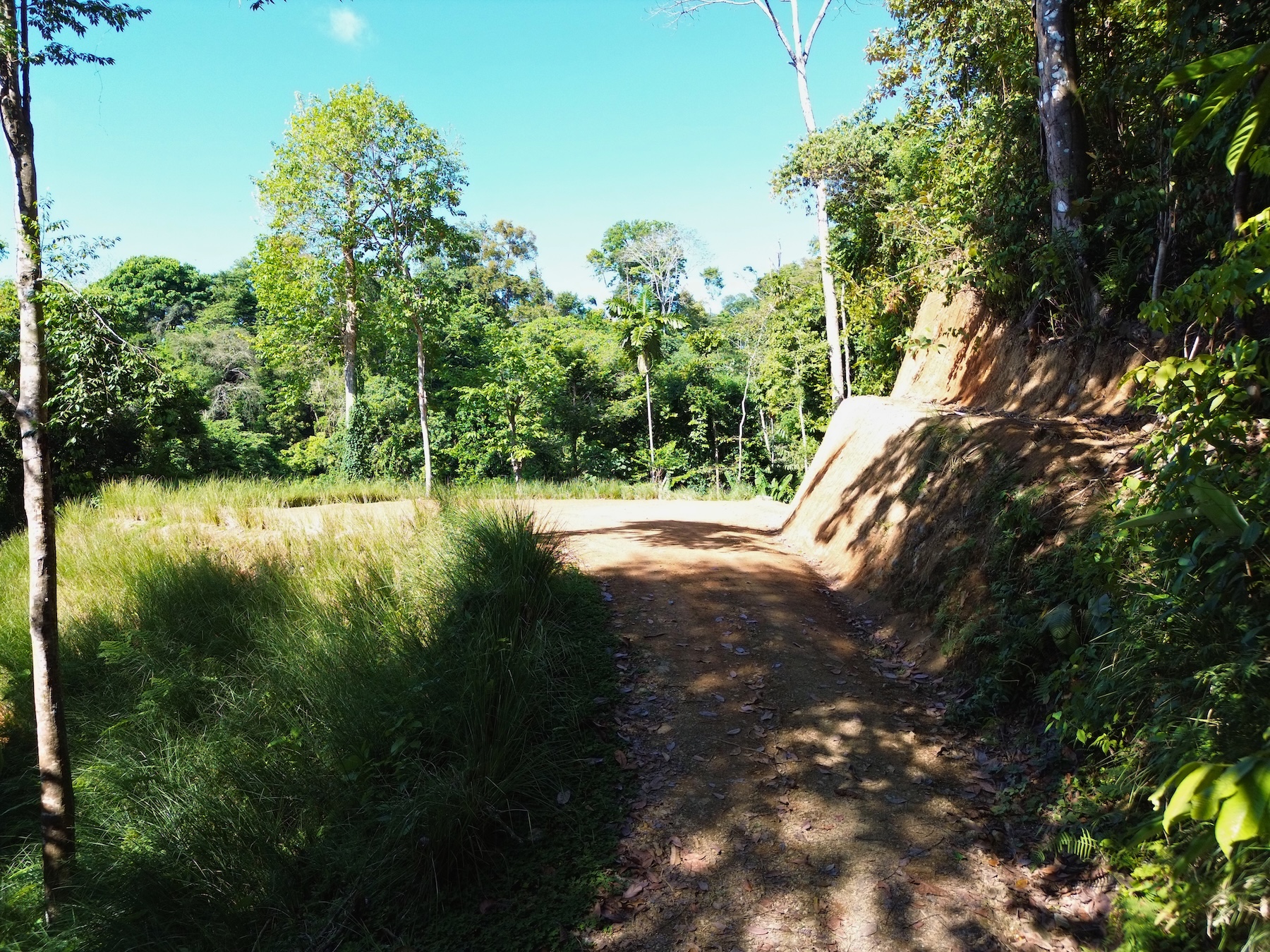 PRIVATE LOT WITH OCEAN AND TROPICAL RAINFOREST VIEWS, IN UVITA – 1.73 ACRES