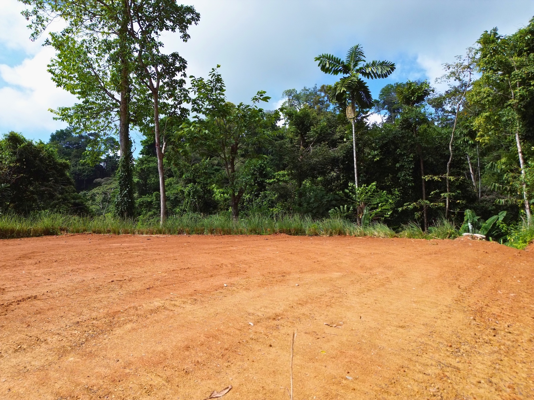 PRIVATE LOT WITH OCEAN AND TROPICAL RAINFOREST VIEWS, IN UVITA – 1.73 ACRES