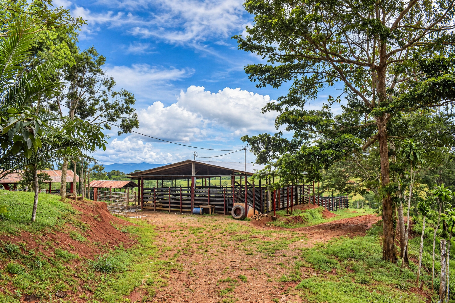 222-Hectare Large-Scale Cattle Ranch with 12 Natural Springs, Extensive Public Road Frontage & Development Potential