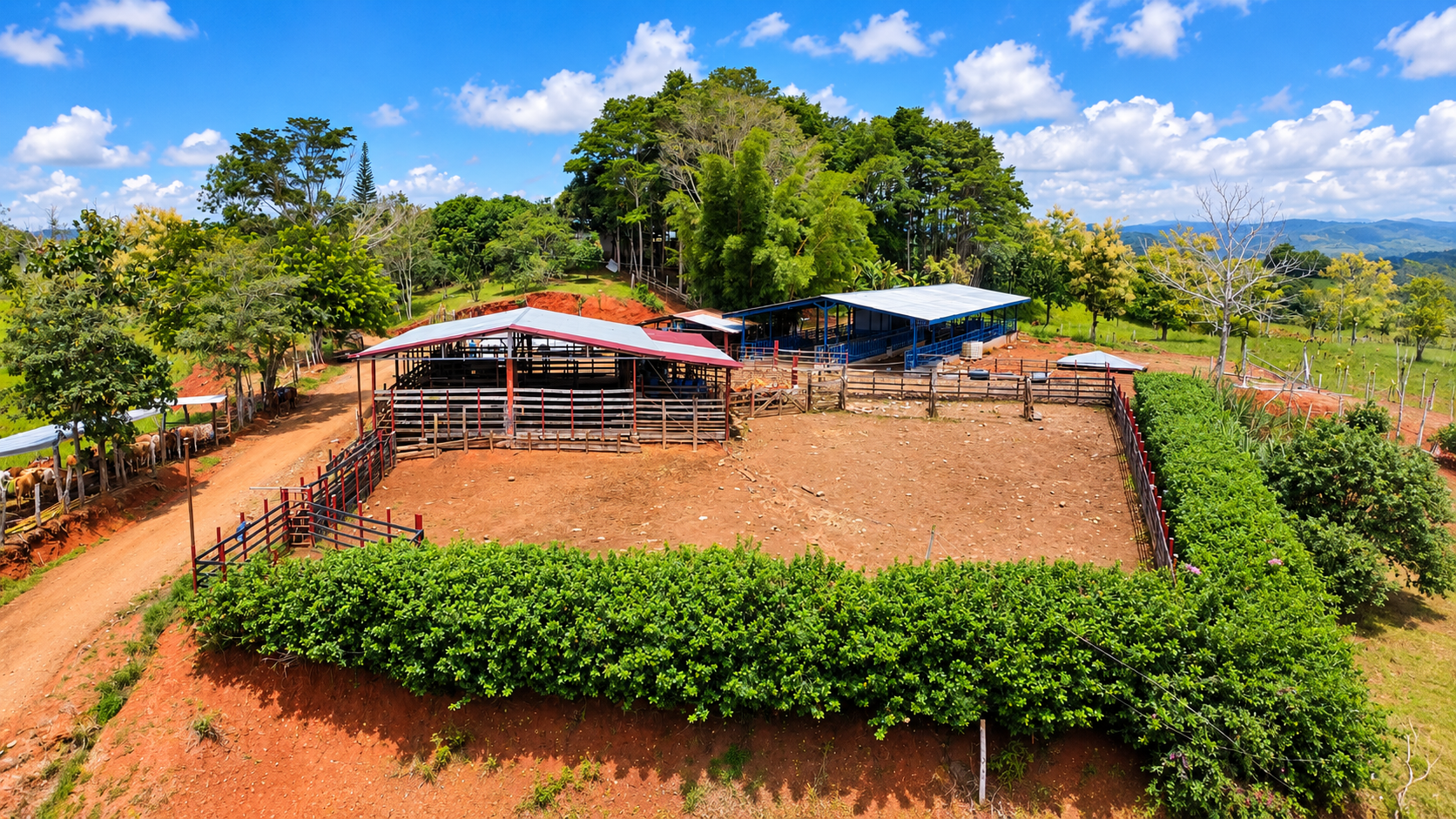 222-Hectare Large-Scale Cattle Ranch with 12 Natural Springs, Extensive Public Road Frontage & Development Potential