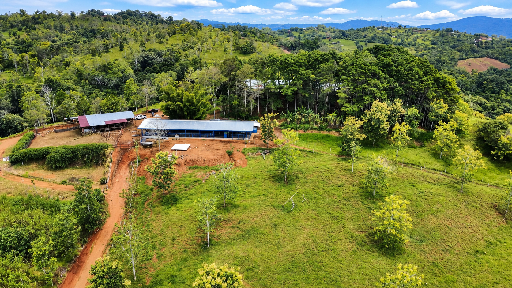 222-Hectare Large-Scale Cattle Ranch with 12 Natural Springs, Extensive Public Road Frontage & Development Potential