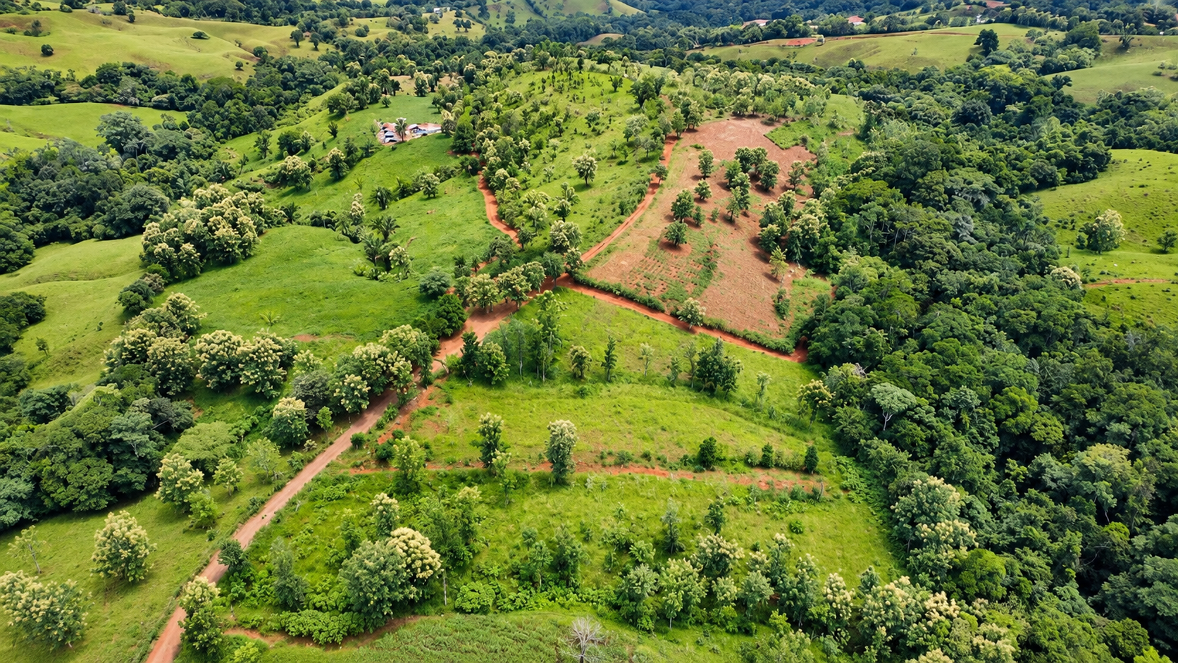 222-Hectare Large-Scale Cattle Ranch with 12 Natural Springs, Extensive Public Road Frontage & Development Potential