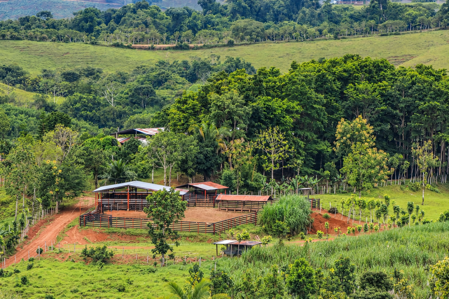 222-Hectare Large-Scale Cattle Ranch with 12 Natural Springs, Extensive Public Road Frontage & Development Potential