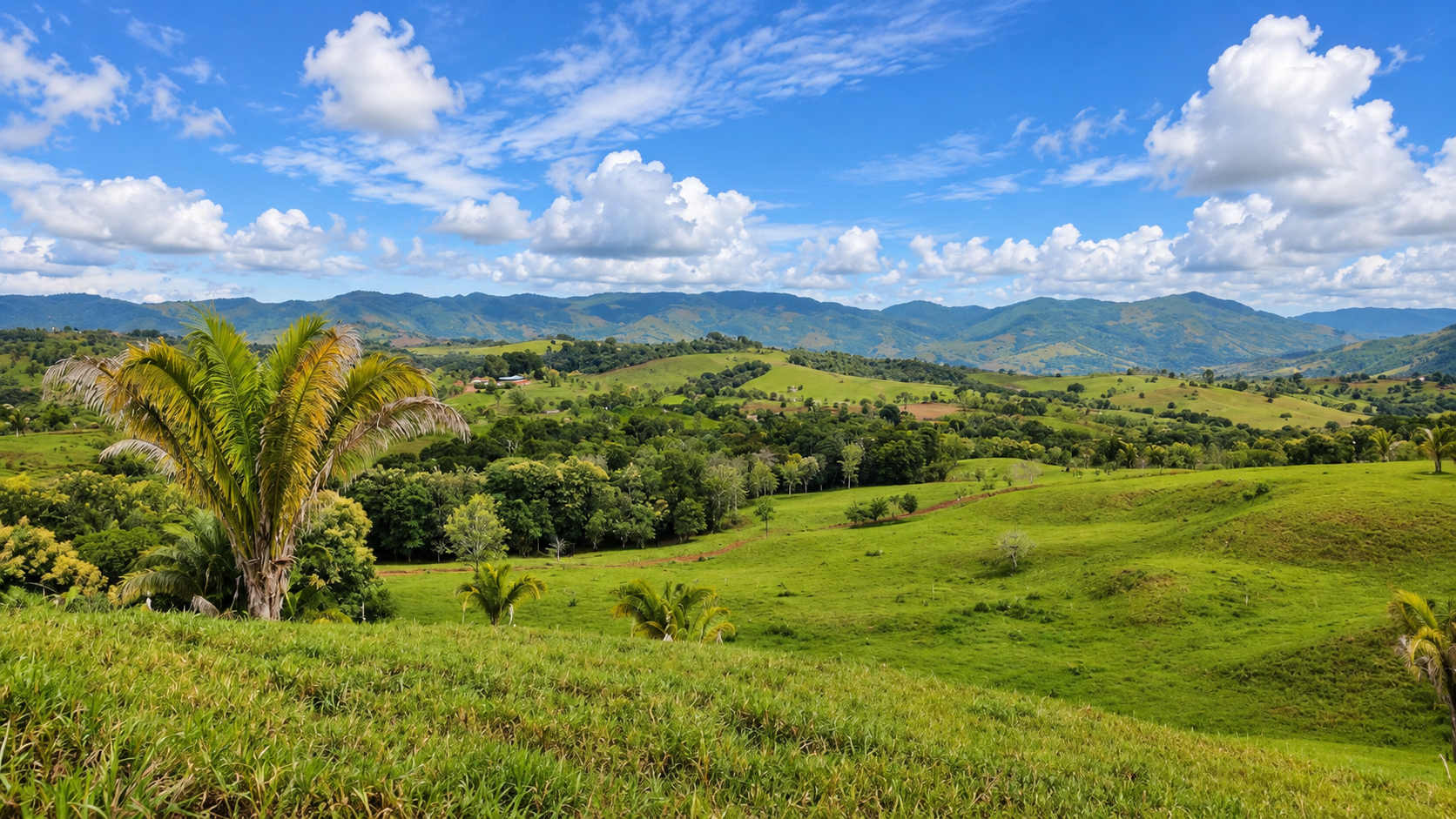 222-Hectare Large-Scale Cattle Ranch with 12 Natural Springs, Extensive Public Road Frontage & Development Potential
