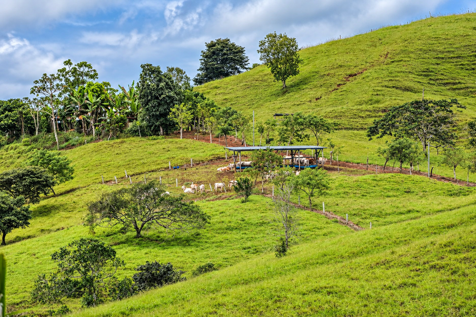 222-Hectare Large-Scale Cattle Ranch with 12 Natural Springs, Extensive Public Road Frontage & Development Potential