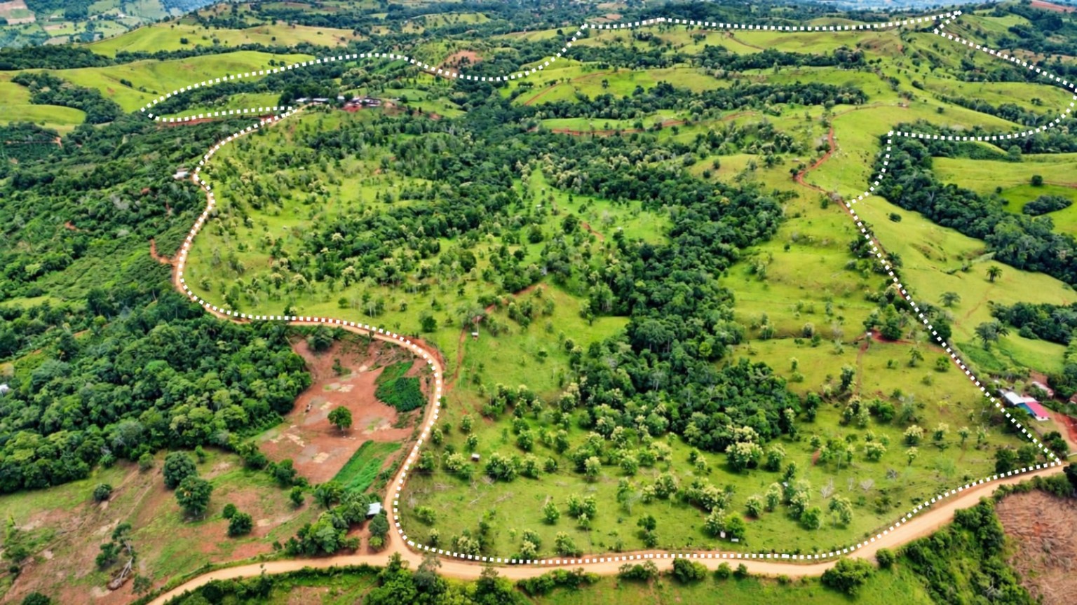 222-Hectare Large-Scale Cattle Ranch with 12 Natural Springs, Extensive Public Road Frontage & Development Potential