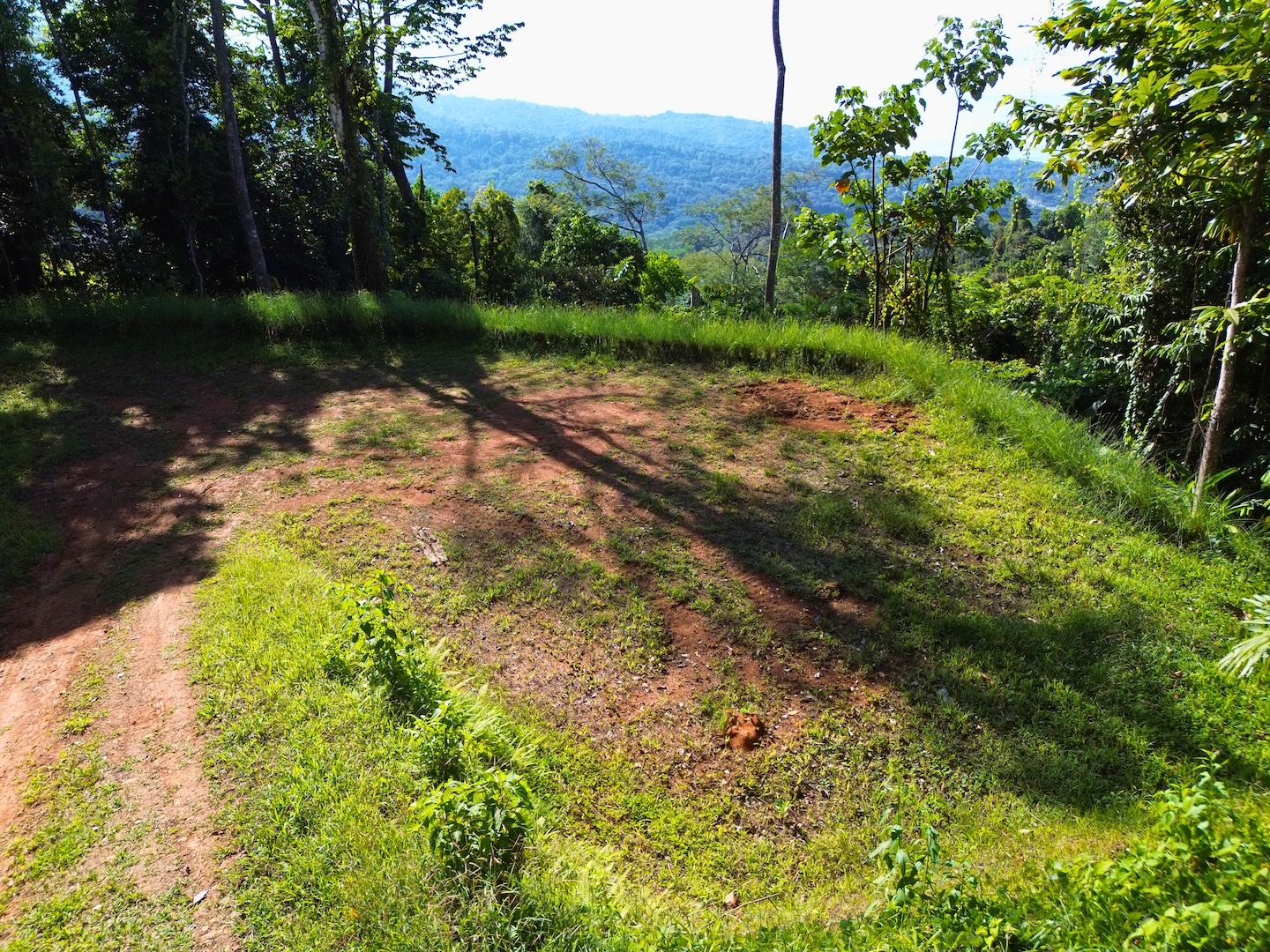 FLAT LAND WITH OCEAN VIEWS AND JUNGLE SURROUNDINGS, IN UVITA – 1.2 ACRES