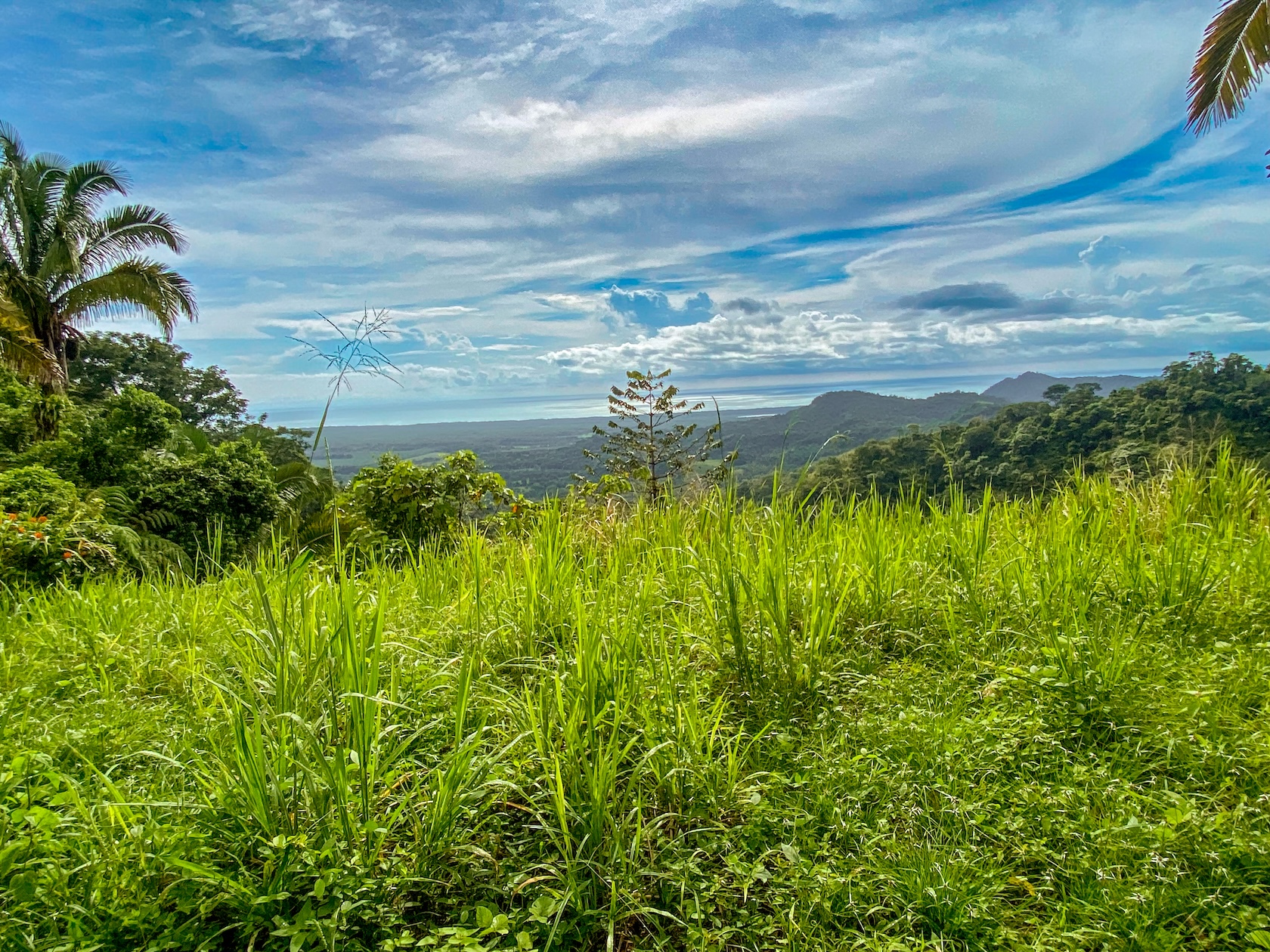 58-ACRE ESTATE WITH PANORAMIC MOUNTAIN, RAINFOREST, AND OCEAN VIEWS, NEAR TO TRES RIOS