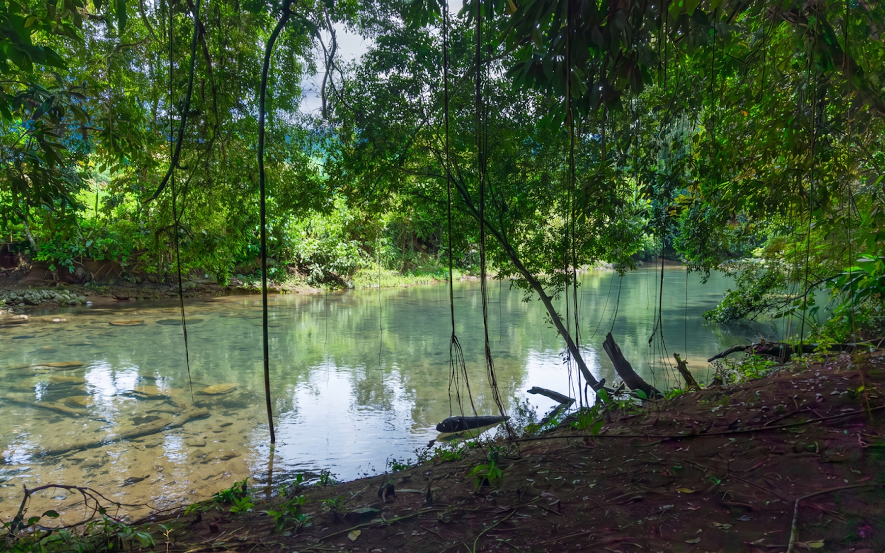 CABIN WITH DIRECT RIVER ACCESS AND PRIVATE BEACH NEAR DOMINICAL, IN PLATANILLO