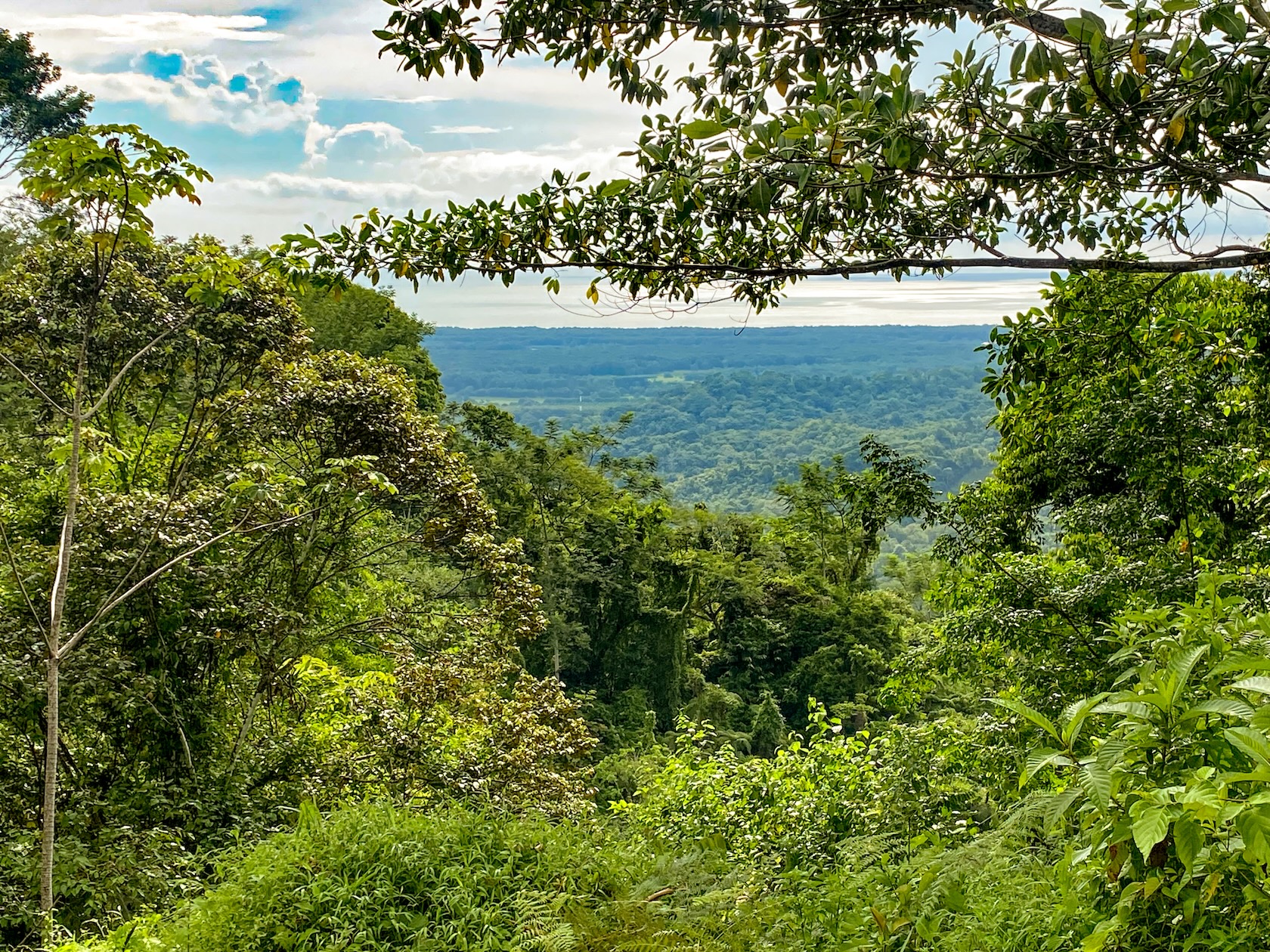 58-ACRE ESTATE WITH PANORAMIC MOUNTAIN, RAINFOREST, AND OCEAN VIEWS, NEAR TO TRES RIOS