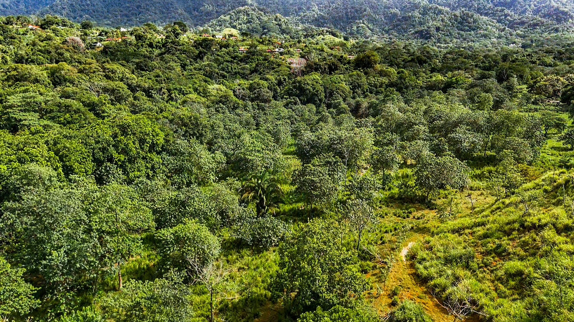 PROPERTY WITH RIVER, FRUIT TREES, AND MOUNTAIN VIEWS, IN OJOCHAL – 22 ACRES