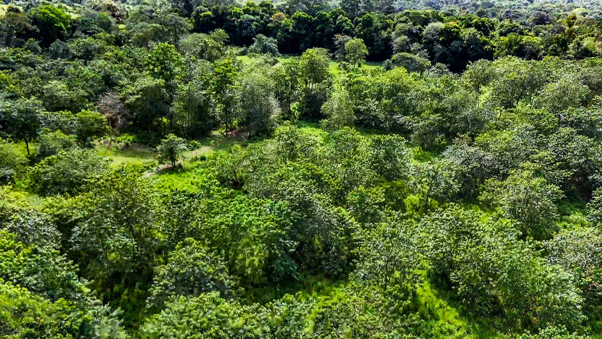 PROPERTY WITH RIVER, FRUIT TREES, AND MOUNTAIN VIEWS, IN OJOCHAL – 22 ACRES