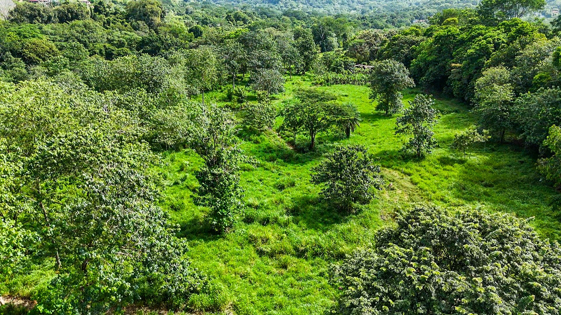 PROPERTY WITH RIVER, FRUIT TREES, AND MOUNTAIN VIEWS, IN OJOCHAL – 22 ACRES