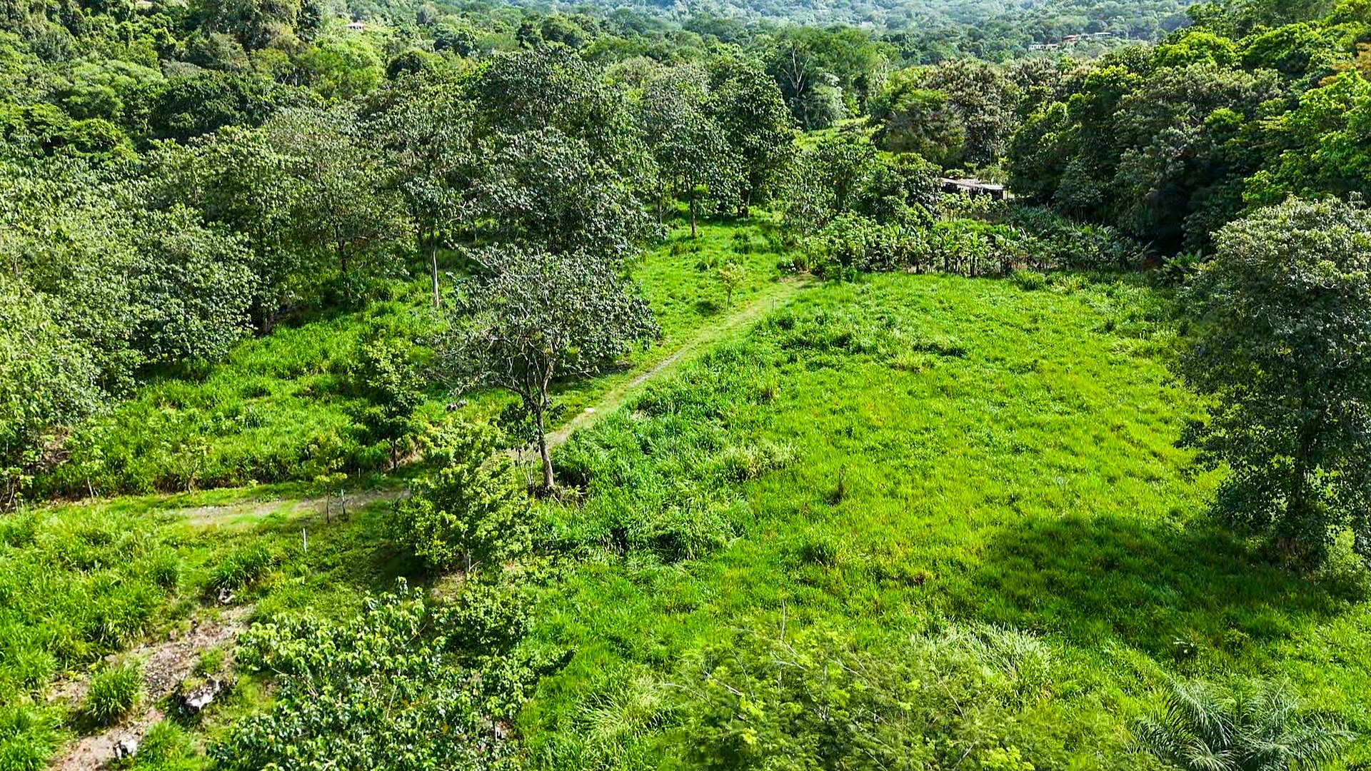 PROPERTY WITH RIVER, FRUIT TREES, AND MOUNTAIN VIEWS, IN OJOCHAL – 22 ACRES