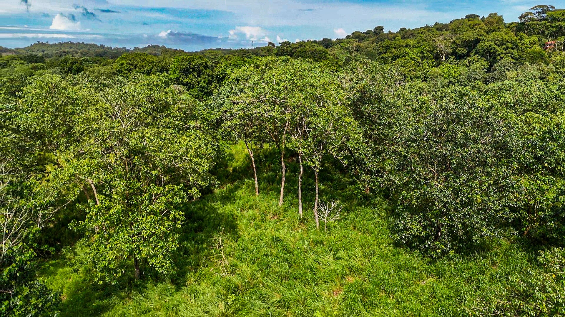 PROPERTY WITH RIVER, FRUIT TREES, AND MOUNTAIN VIEWS, IN OJOCHAL – 22 ACRES