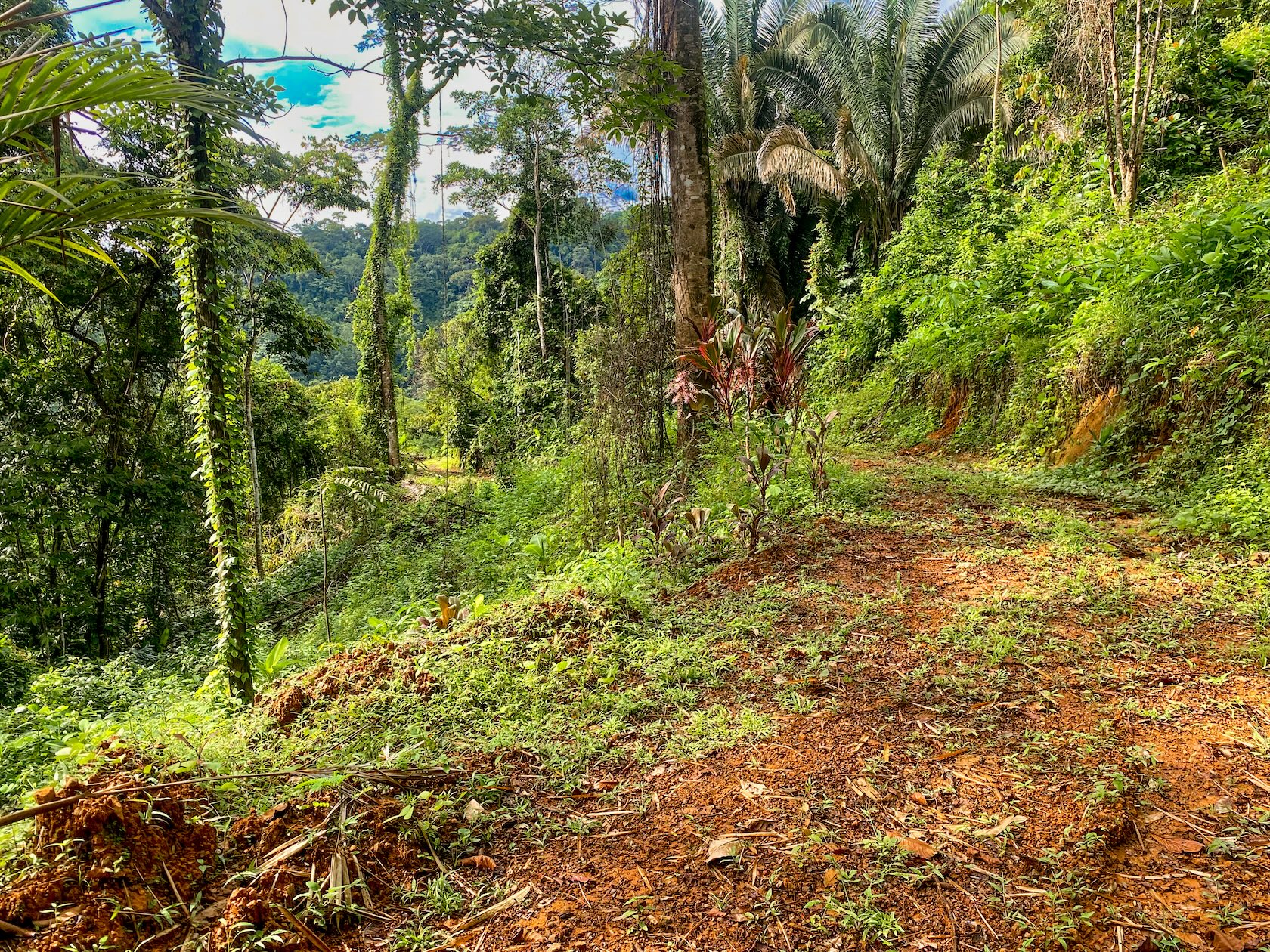 58-ACRE ESTATE WITH PANORAMIC MOUNTAIN, RAINFOREST, AND OCEAN VIEWS, NEAR TO TRES RIOS