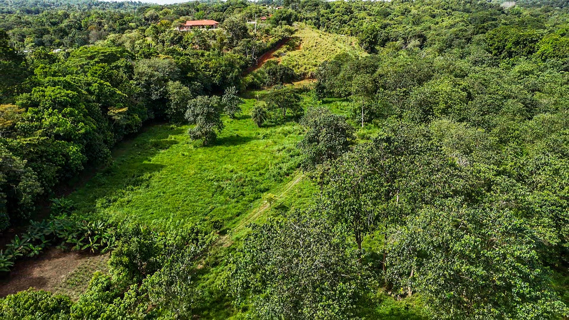 PROPERTY WITH RIVER, FRUIT TREES, AND MOUNTAIN VIEWS, IN OJOCHAL – 22 ACRES