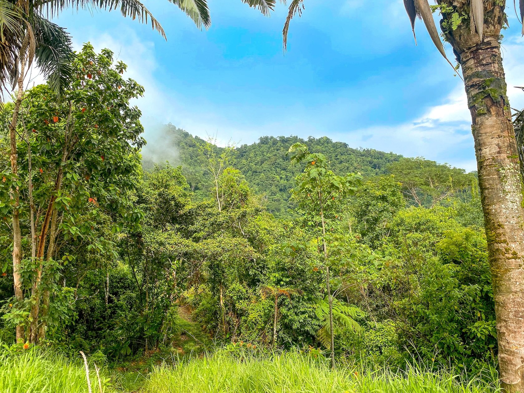 58-ACRE ESTATE WITH PANORAMIC MOUNTAIN, RAINFOREST, AND OCEAN VIEWS, NEAR TO TRES RIOS