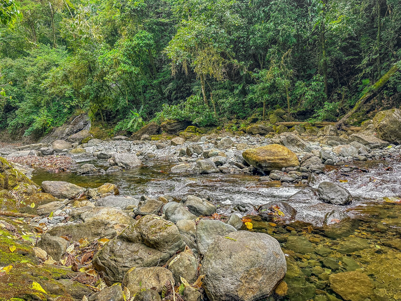 PROPERTY WITH RIVER, FRUIT TREES, AND MOUNTAIN VIEWS, IN OJOCHAL – 22 ACRES