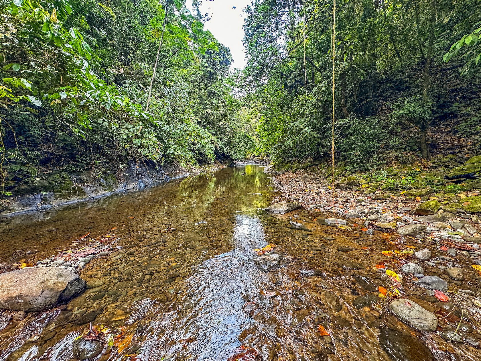 PROPERTY WITH RIVER, FRUIT TREES, AND MOUNTAIN VIEWS, IN OJOCHAL – 22 ACRES