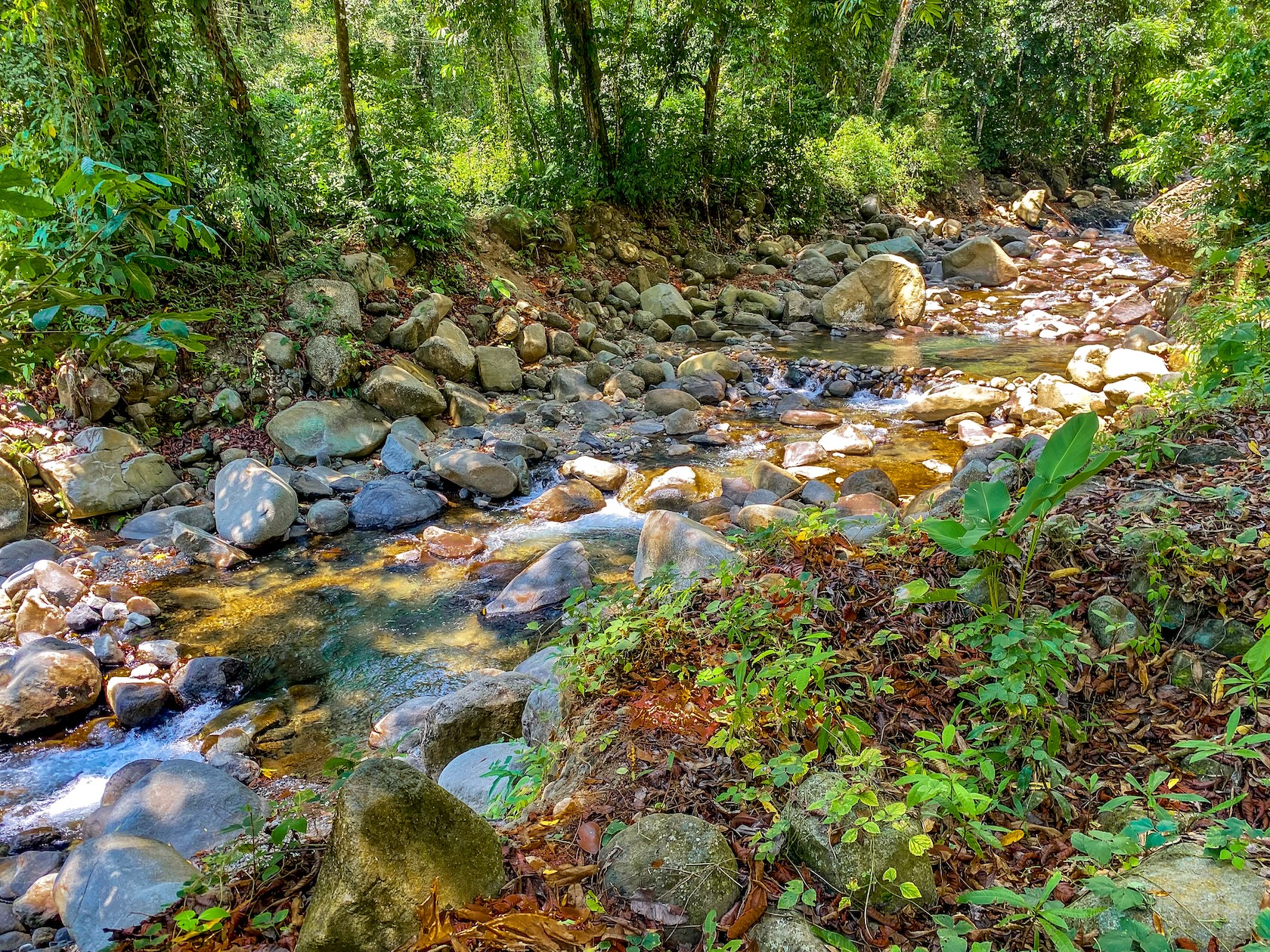 PROPERTY WITH RIVER, FRUIT TREES, AND MOUNTAIN VIEWS, IN OJOCHAL – 22 ACRES