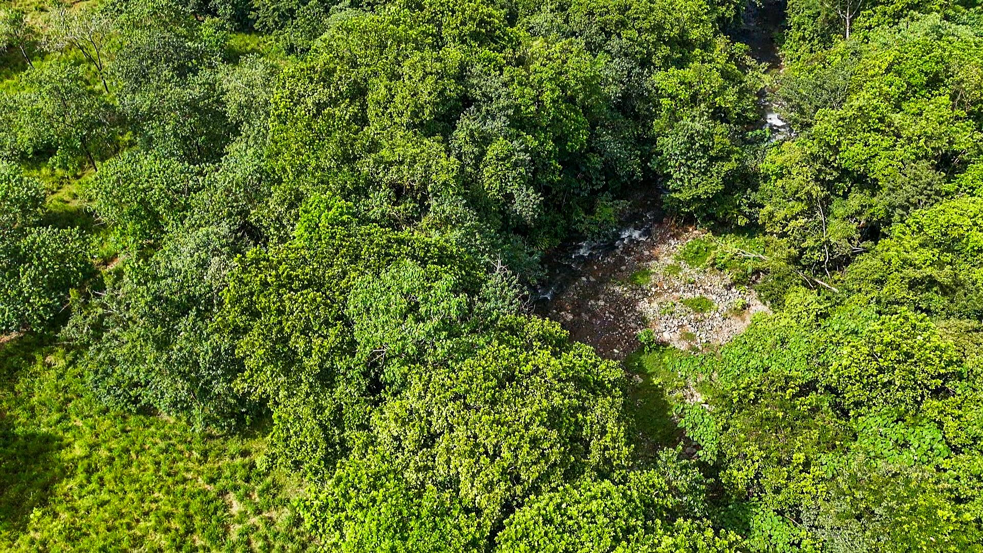PROPERTY WITH RIVER, FRUIT TREES, AND MOUNTAIN VIEWS, IN OJOCHAL – 22 ACRES