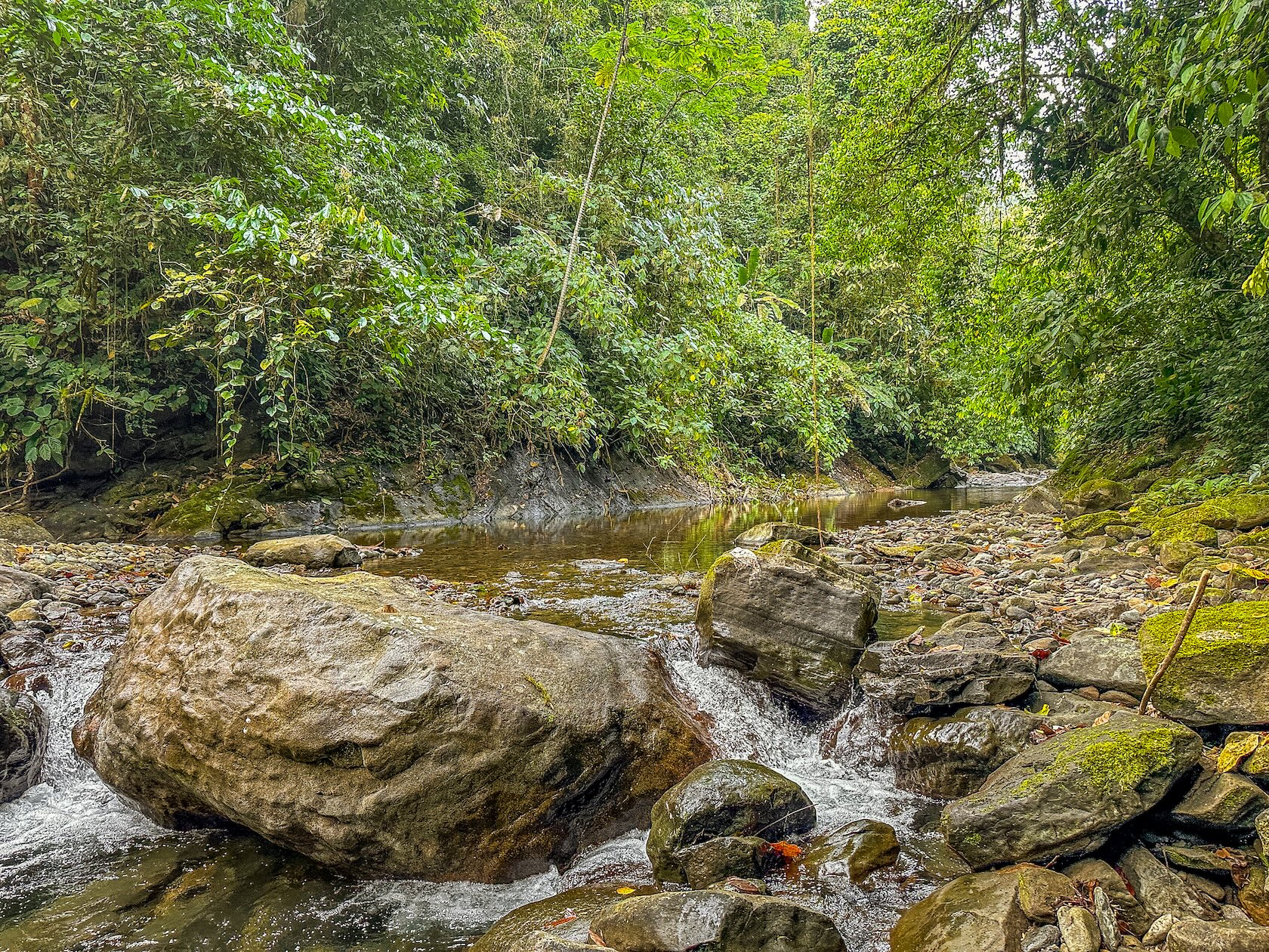 PROPERTY WITH RIVER, FRUIT TREES, AND MOUNTAIN VIEWS, IN OJOCHAL – 22 ACRES