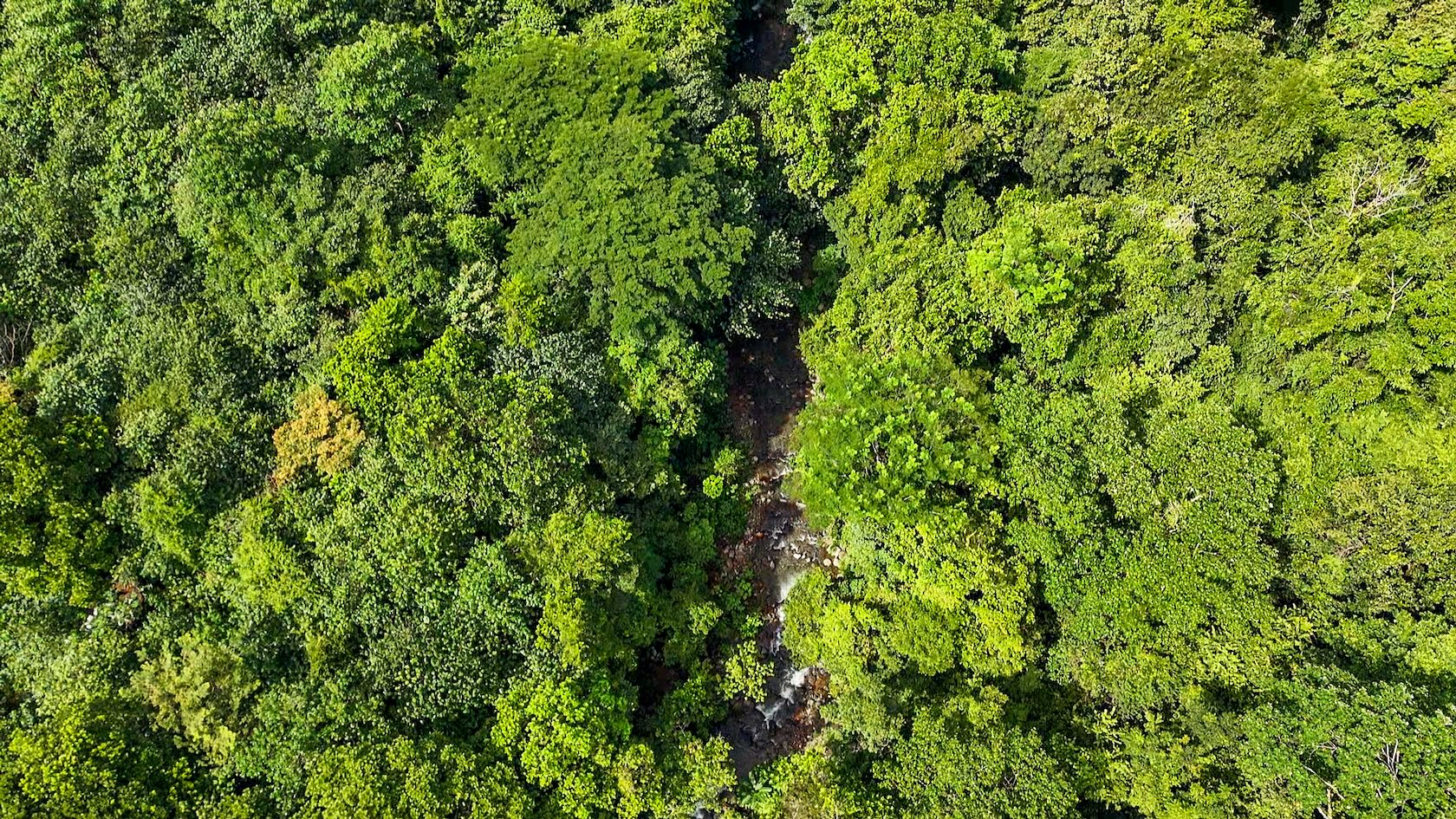 PROPERTY WITH RIVER, FRUIT TREES, AND MOUNTAIN VIEWS, IN OJOCHAL – 22 ACRES