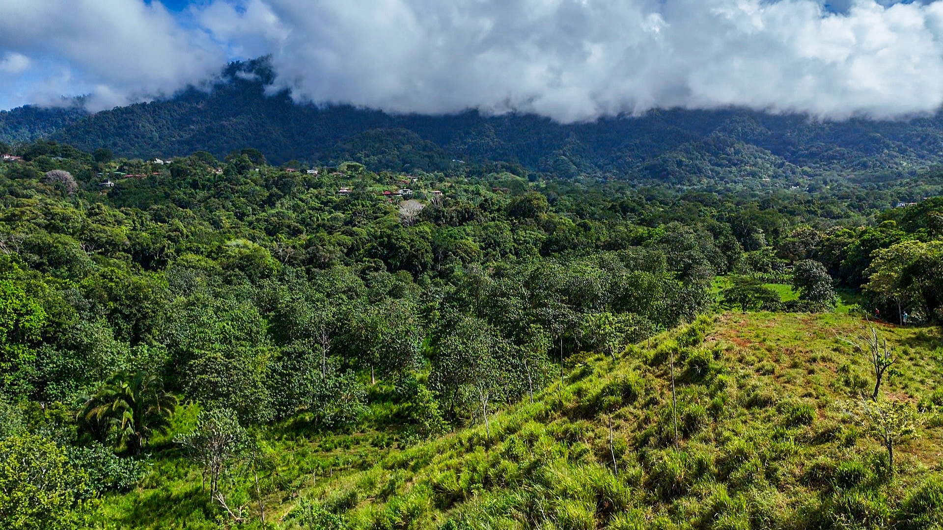 PROPERTY WITH RIVER, FRUIT TREES, AND MOUNTAIN VIEWS, IN OJOCHAL – 22 ACRES