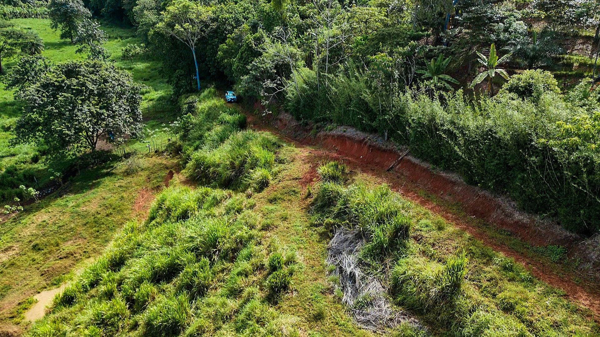 PROPERTY WITH RIVER, FRUIT TREES, AND MOUNTAIN VIEWS, IN OJOCHAL – 22 ACRES