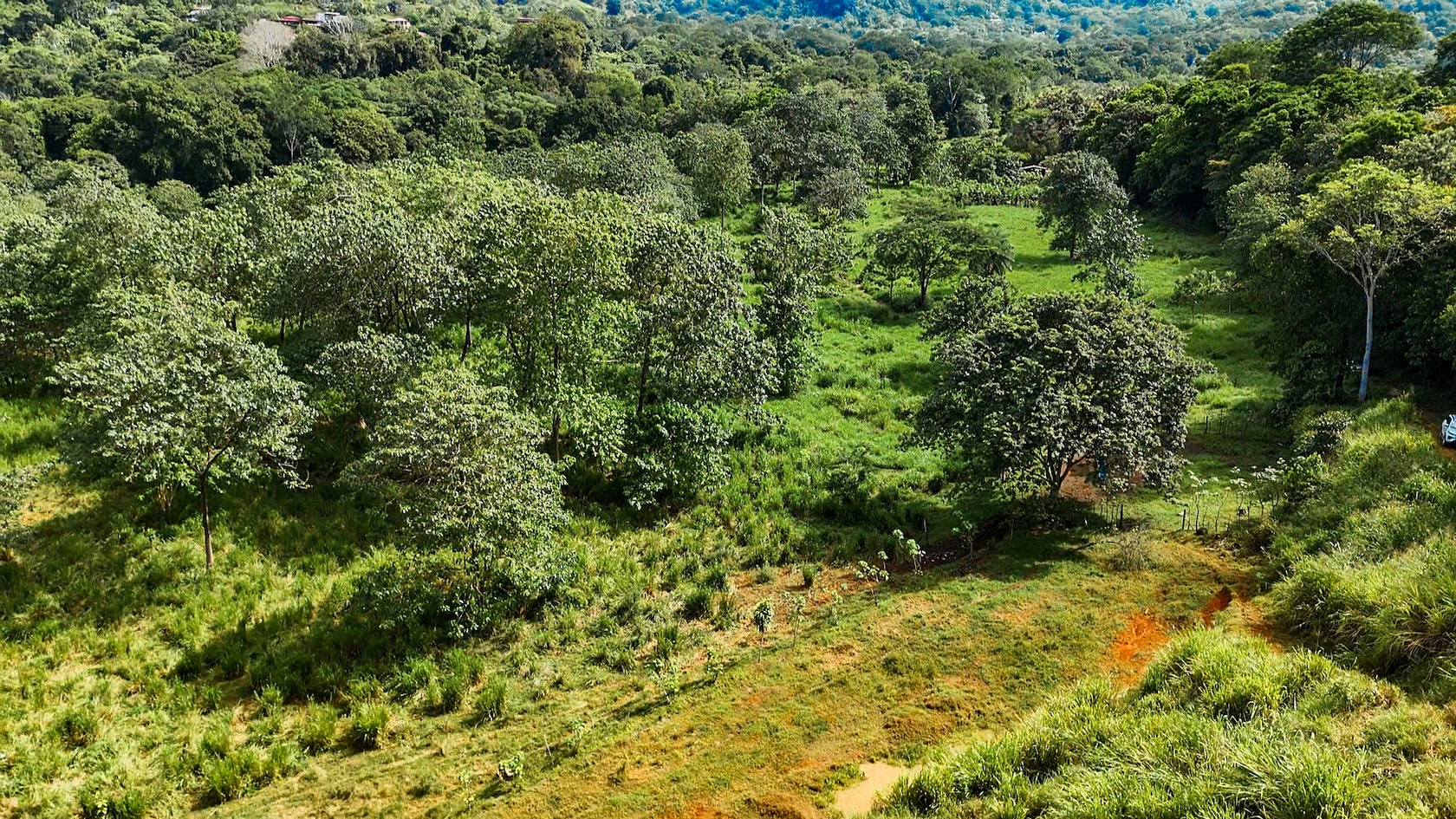 PROPERTY WITH RIVER, FRUIT TREES, AND MOUNTAIN VIEWS, IN OJOCHAL – 22 ACRES