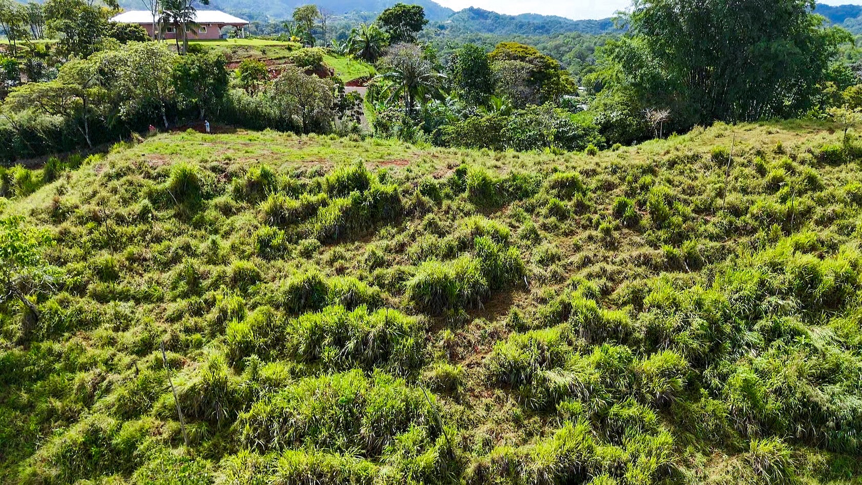 PROPERTY WITH RIVER, FRUIT TREES, AND MOUNTAIN VIEWS, IN OJOCHAL – 22 ACRES