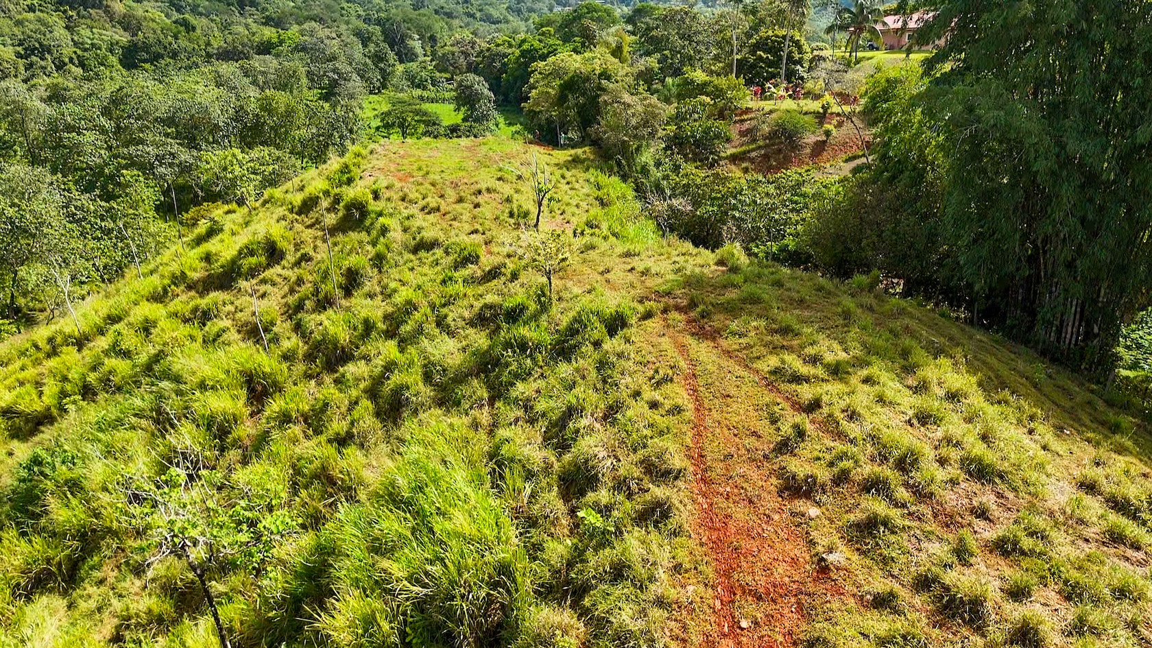 PROPERTY WITH RIVER, FRUIT TREES, AND MOUNTAIN VIEWS, IN OJOCHAL – 22 ACRES