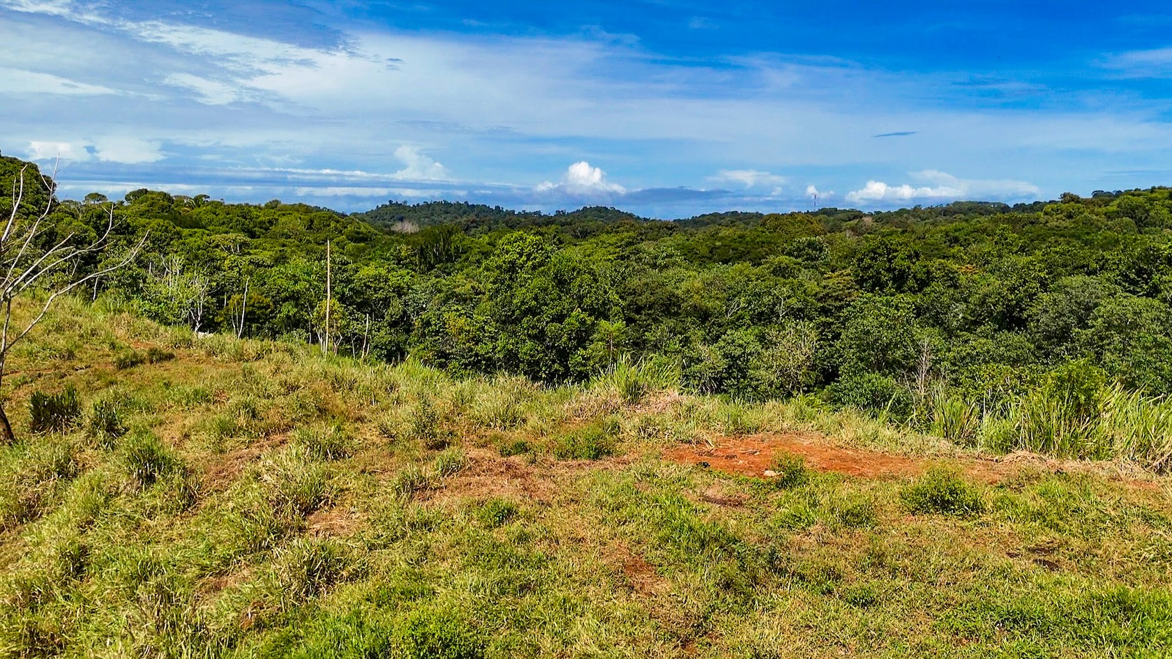 PROPERTY WITH RIVER, FRUIT TREES, AND MOUNTAIN VIEWS, IN OJOCHAL – 22 ACRES