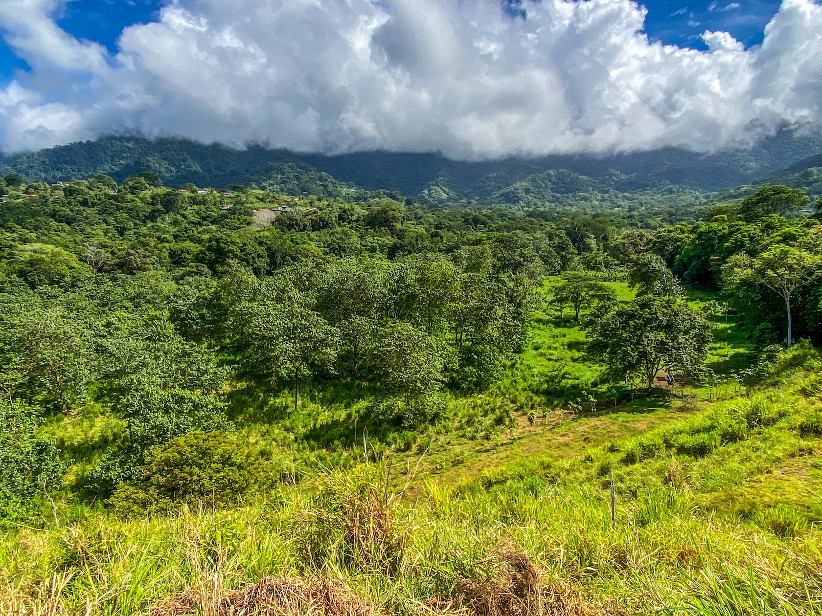 PROPERTY WITH RIVER, FRUIT TREES, AND MOUNTAIN VIEWS, IN OJOCHAL – 22 ACRES