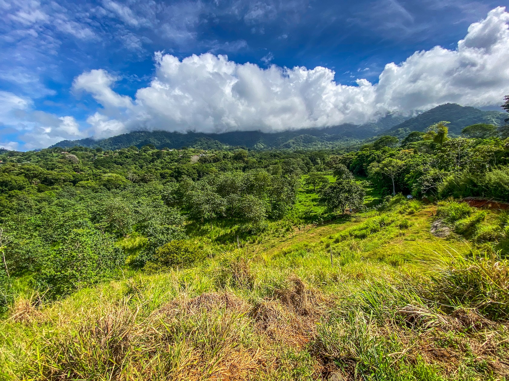 PROPERTY WITH RIVER, FRUIT TREES, AND MOUNTAIN VIEWS, IN OJOCHAL – 22 ACRES