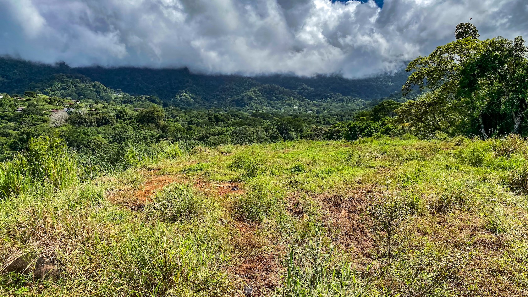 PROPERTY WITH RIVER, FRUIT TREES, AND MOUNTAIN VIEWS, IN OJOCHAL – 22 ACRES