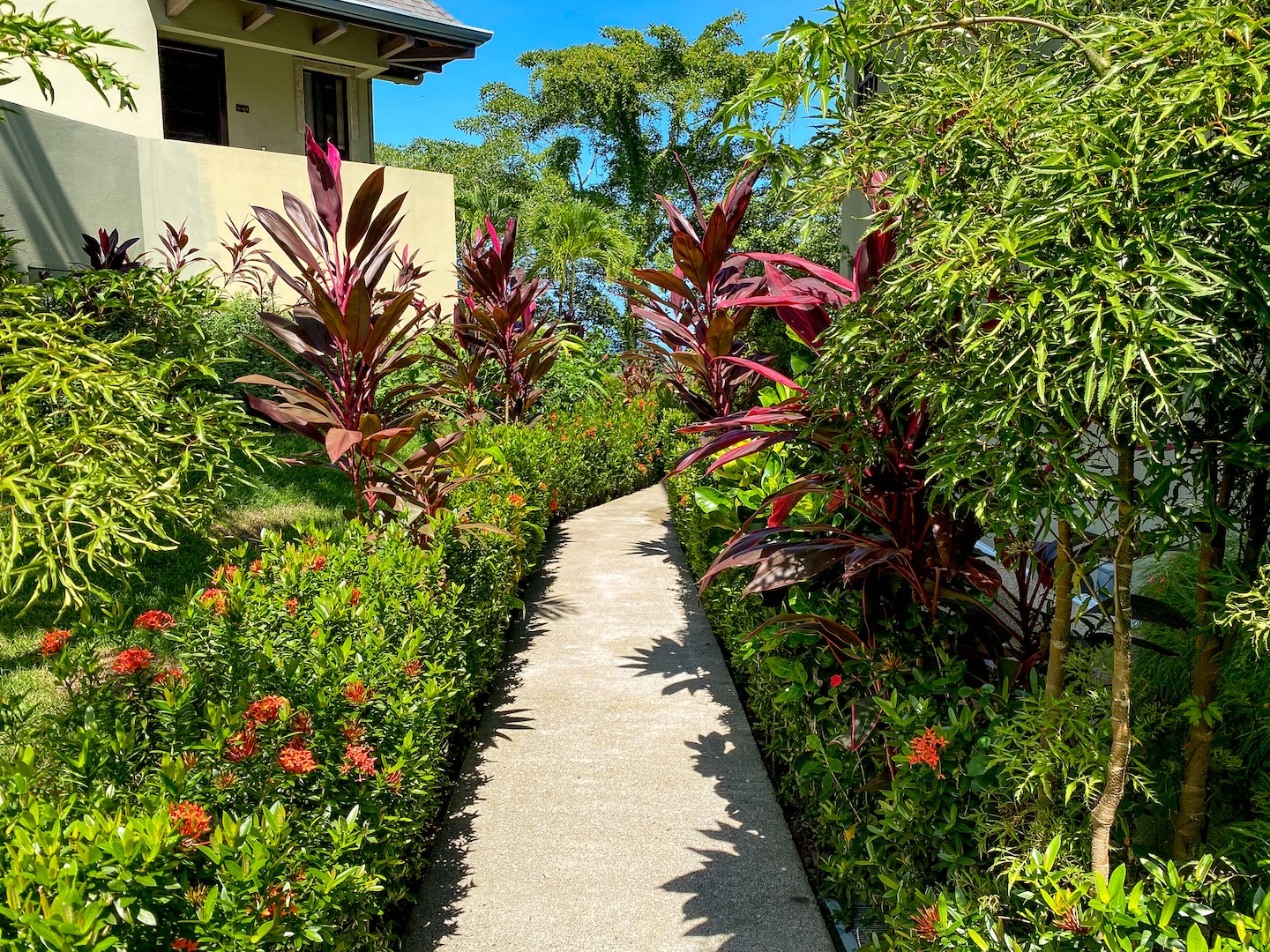 MARISOL CONDOMINIUMS EXCLUSIVE RESIDENTIAL COMPLEX WITH OCEAN VIEWS, IN PLAYA DOMINICALITO