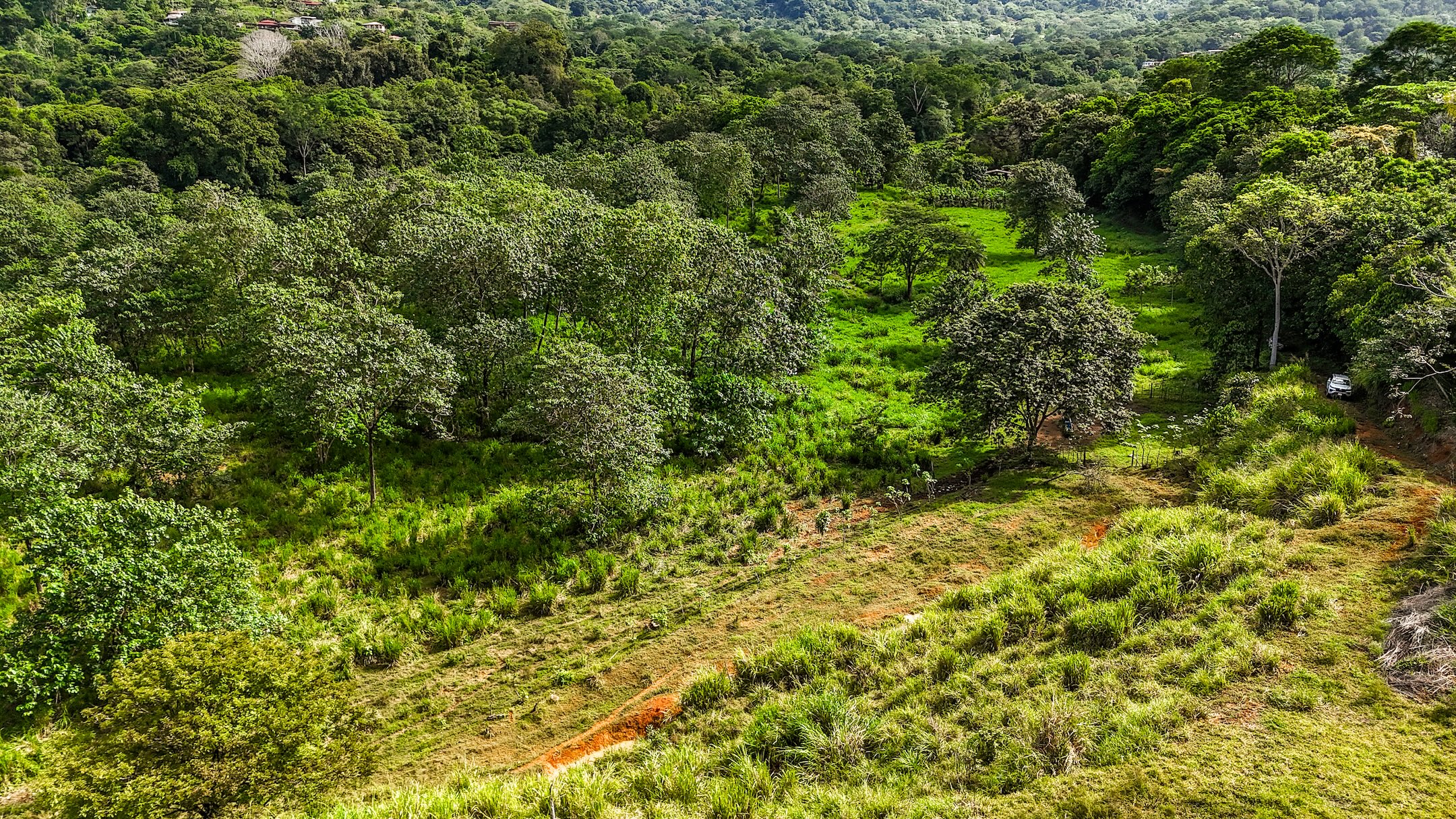 PROPERTY WITH RIVER, FRUIT TREES, AND MOUNTAIN VIEWS, IN OJOCHAL – 22 ACRES