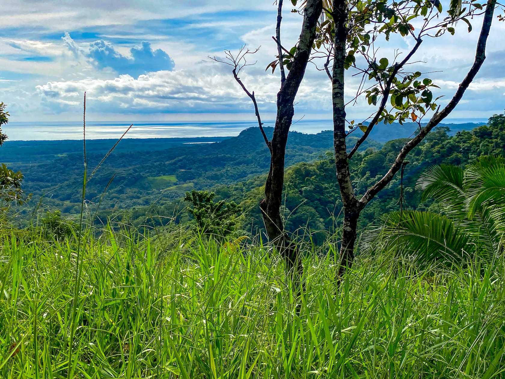 58-ACRE ESTATE WITH PANORAMIC MOUNTAIN, RAINFOREST, AND OCEAN VIEWS, NEAR TO TRES RIOS