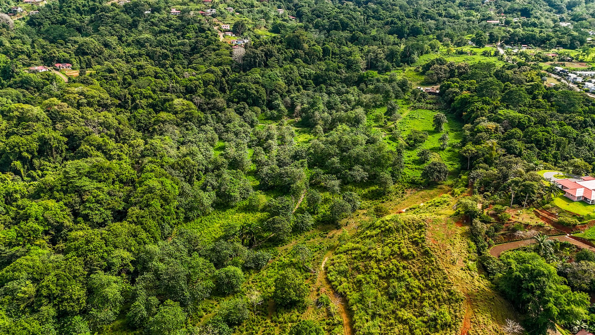 PROPERTY WITH RIVER, FRUIT TREES, AND MOUNTAIN VIEWS, IN OJOCHAL – 22 ACRES