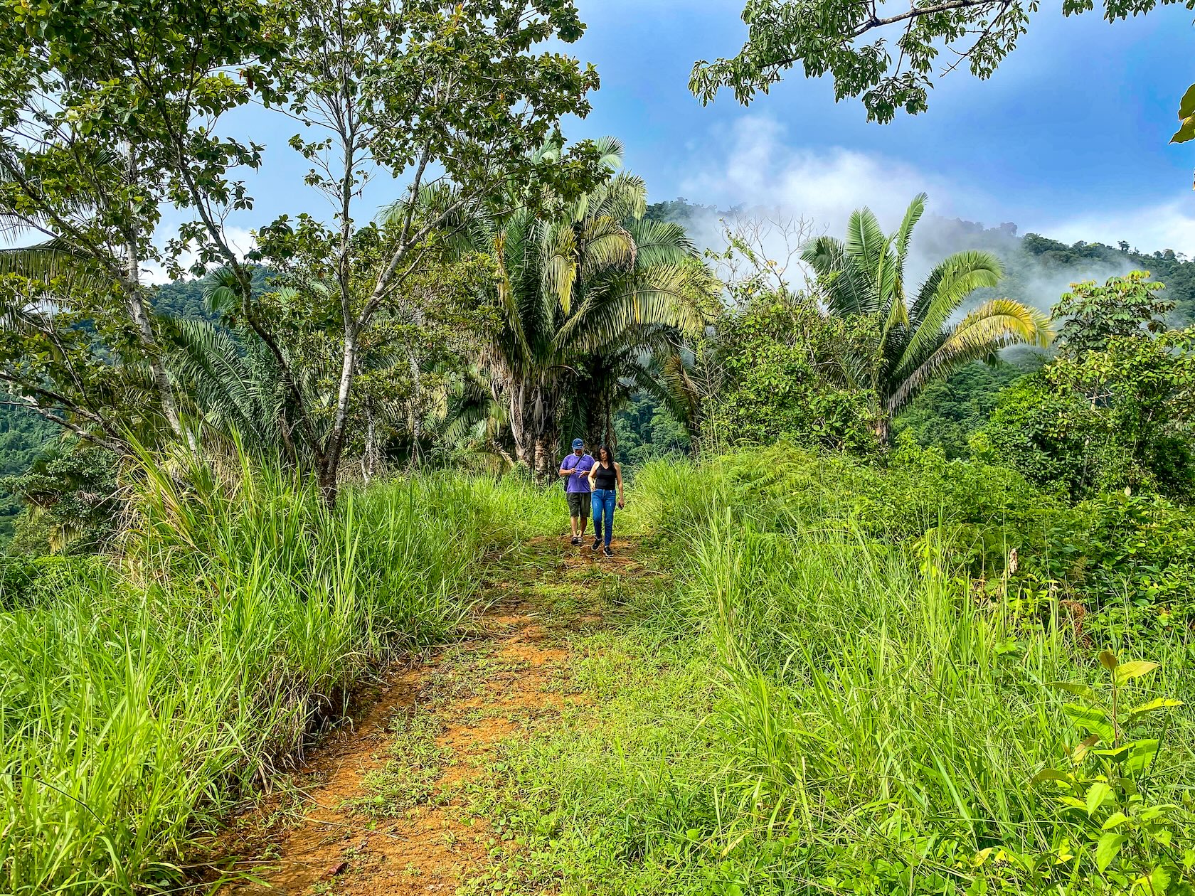 58-ACRE ESTATE WITH PANORAMIC MOUNTAIN, RAINFOREST, AND OCEAN VIEWS, NEAR TO TRES RIOS