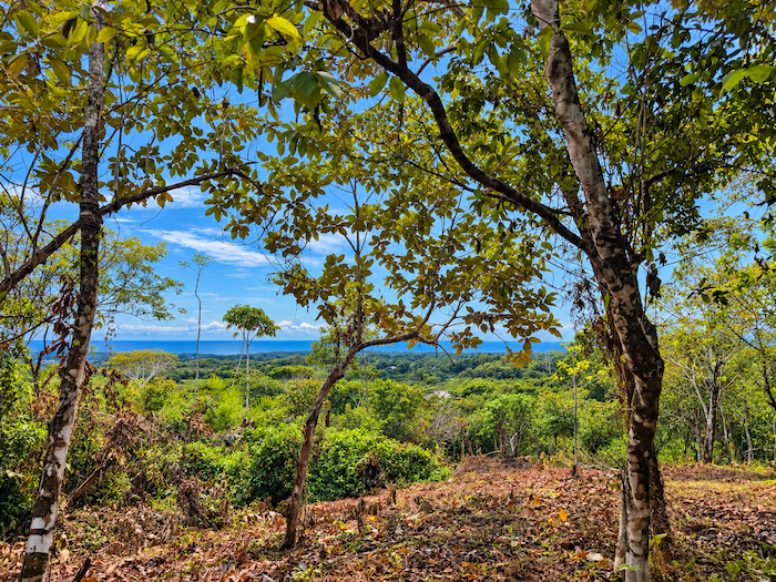 LAND WITH EXPANSIVE SEA VIEWS AND EASY YEAR-ROUND ACCESS, NEAR TO PARRITA