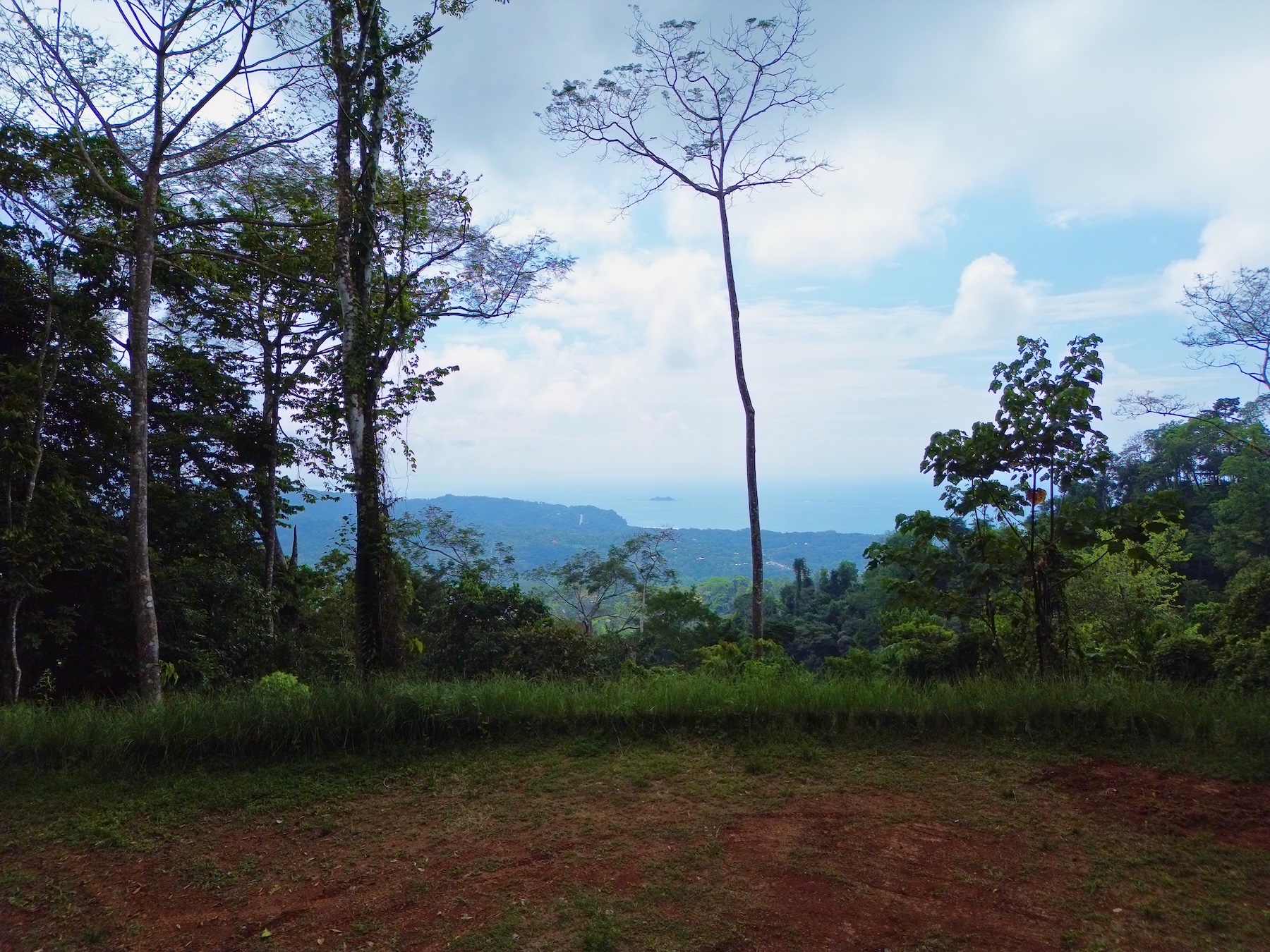 FLAT LAND WITH OCEAN VIEWS AND JUNGLE SURROUNDINGS, IN UVITA – 1.2 ACRES