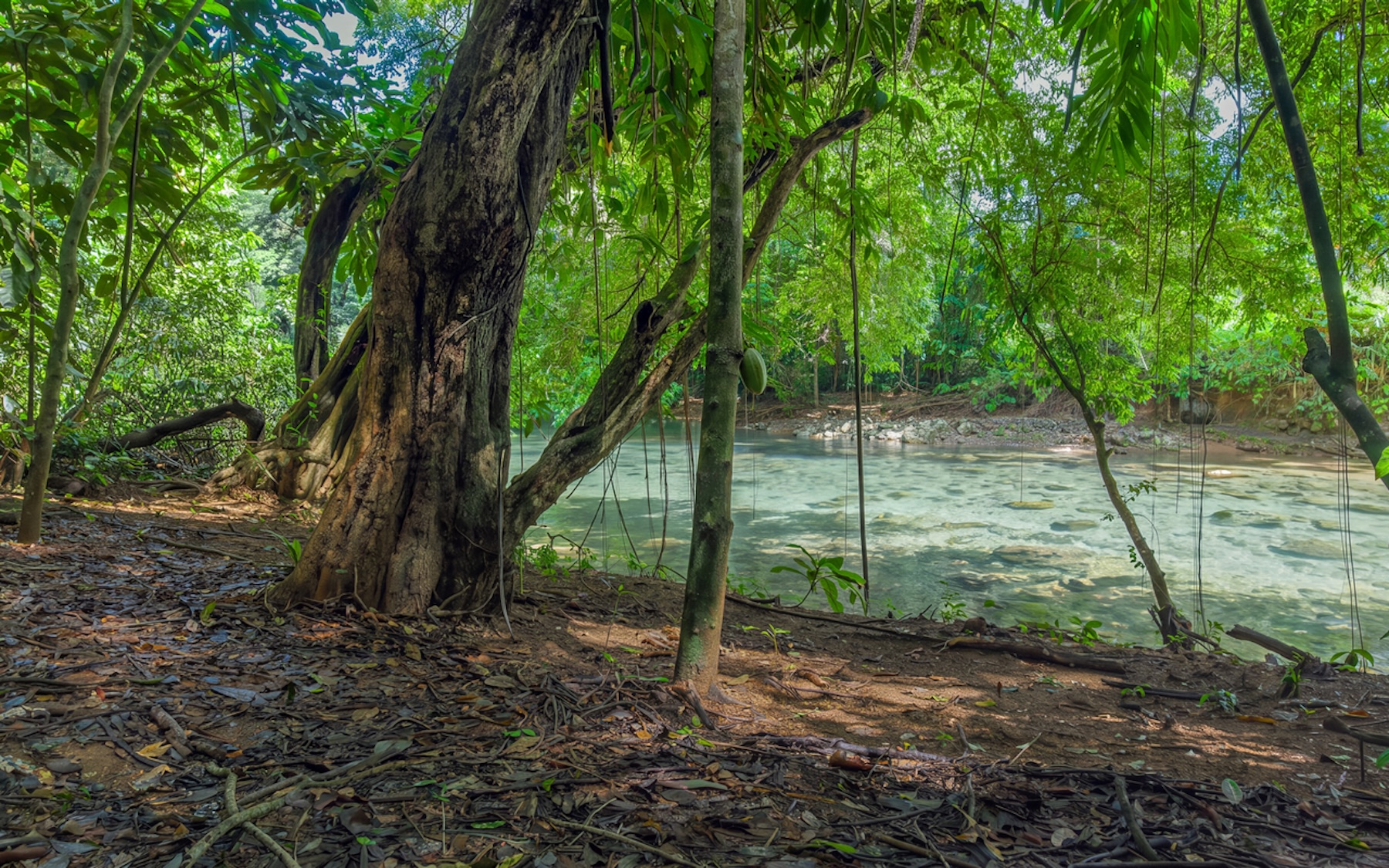 CABIN WITH DIRECT RIVER ACCESS AND PRIVATE BEACH NEAR DOMINICAL, IN PLATANILLO