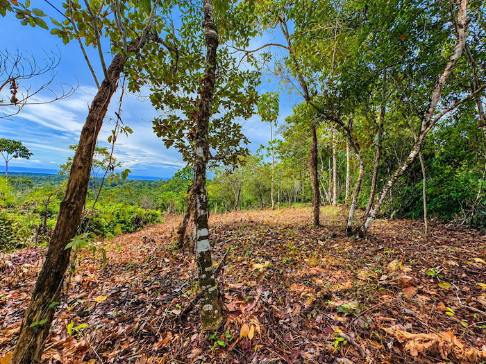 LAND WITH EXPANSIVE SEA VIEWS AND EASY YEAR-ROUND ACCESS, NEAR TO PARRITA