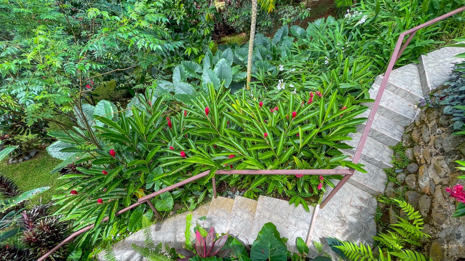 RENOVATED HOME WITH POOL, OCEAN VIEWS, AND ADDITIONAL LAND, IN CINCO VENTANAS, OJOCHAL