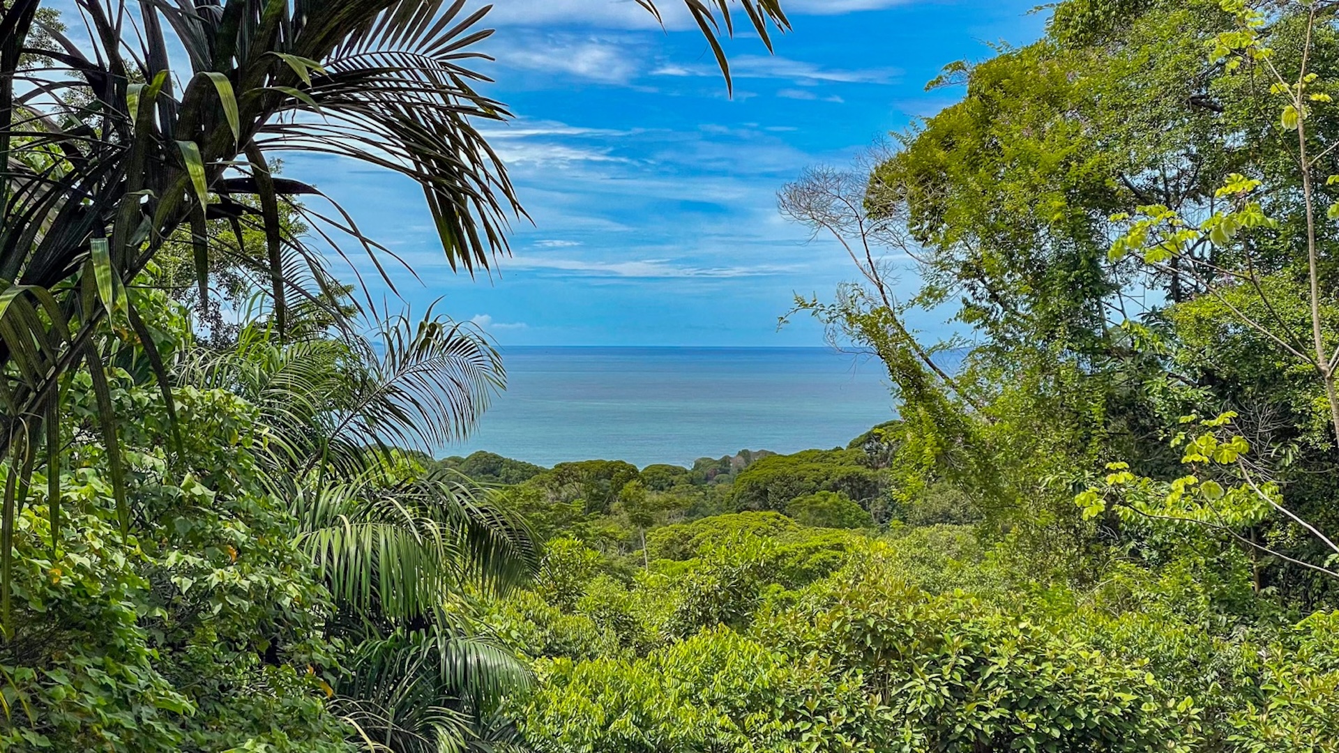 RENOVATED HOME WITH POOL, OCEAN VIEWS, AND ADDITIONAL LAND, IN CINCO VENTANAS, OJOCHAL